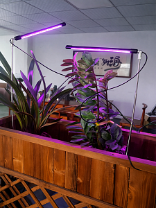 Фитолампа для растений с таймером на телескопической ноге Огонек OG-LDP16